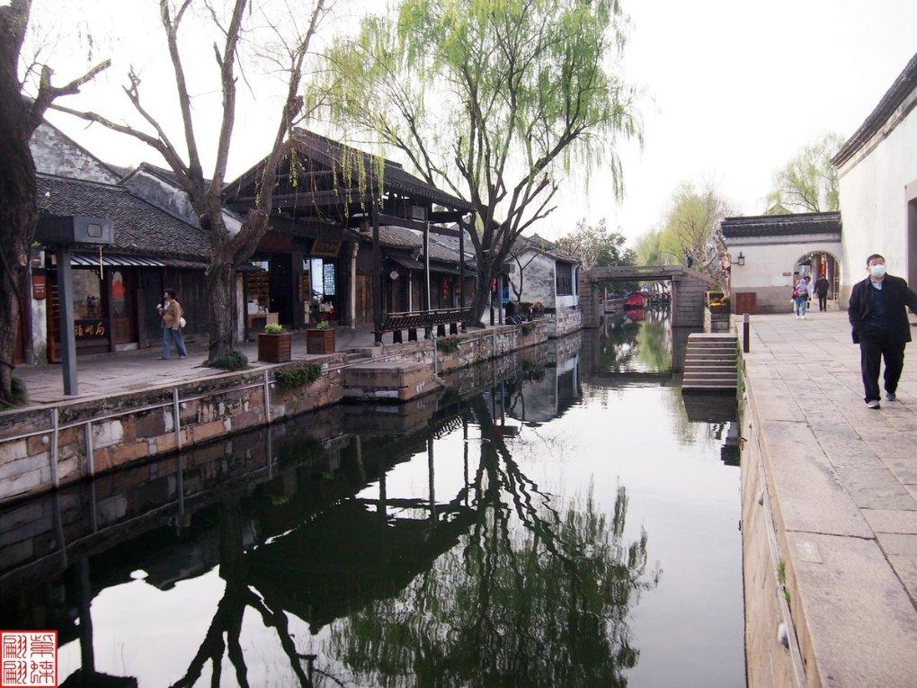 救援可爱小松鼠