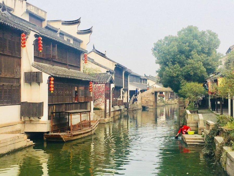 饿狮救援